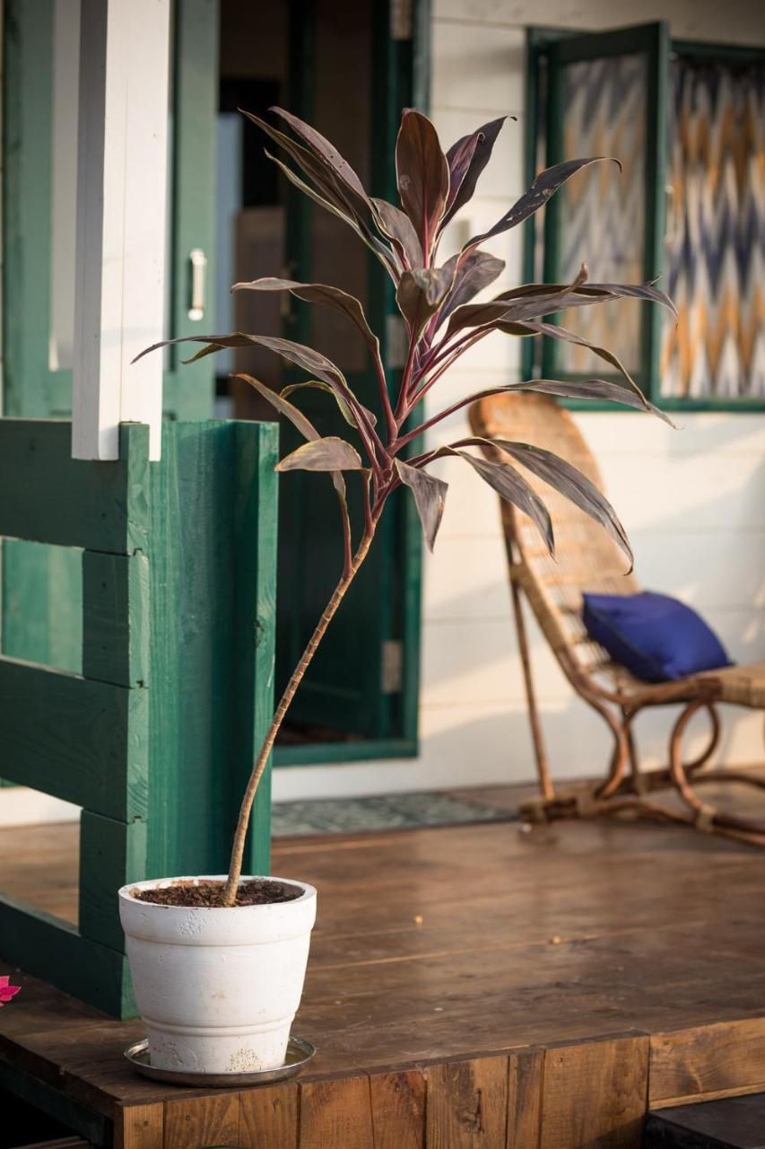 Nest Cottages Canacona Eksteriør bilde